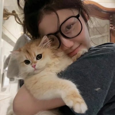 加菲猫和他的朋友们第七季